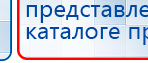 СКЭНАР-1-НТ (исполнение 02.1) Скэнар Про Плюс купить в Железногорске, Аппараты Скэнар купить в Железногорске, Скэнар официальный сайт - denasvertebra.ru